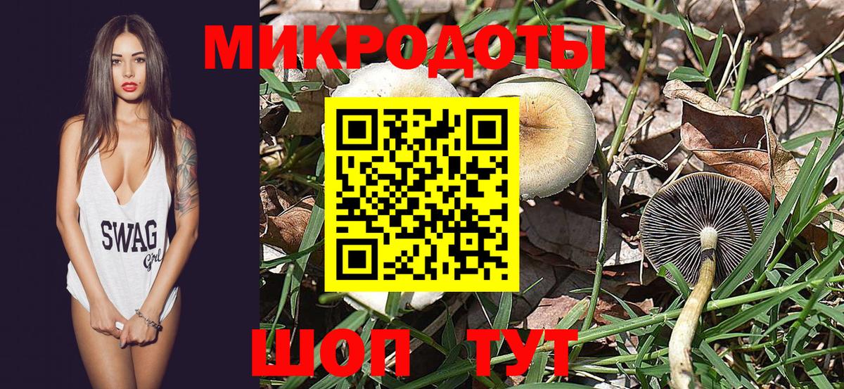 Псилоцибиновые грибы MAGIC MUSHROOMS Лосино-Петровский